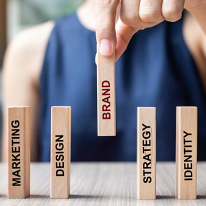 Story 3 Picture 1 Alt Text